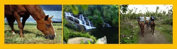 Ecotourism in Paraty Ecotourism in Paraty