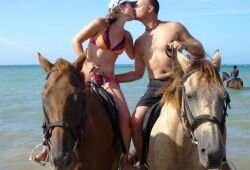 Tours e Passeios