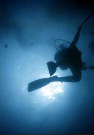 Paraty Excursions: Adventure tourism Paraty Excursions: Adventure tourism