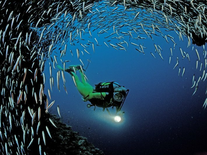 Paraty scuba diving Paraty scuba diving
