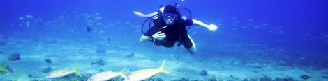 Cursos y Excursiones de Buceo en Paraty 