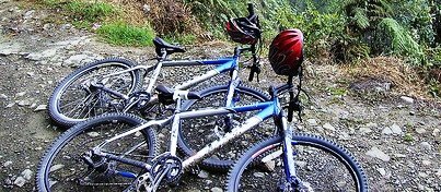 Excursiones en Bicicleta en Paraty 