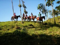 Excursión a Caballo por la Serra da Bocaina Excursión a Caballo por la Serra da Bocaina