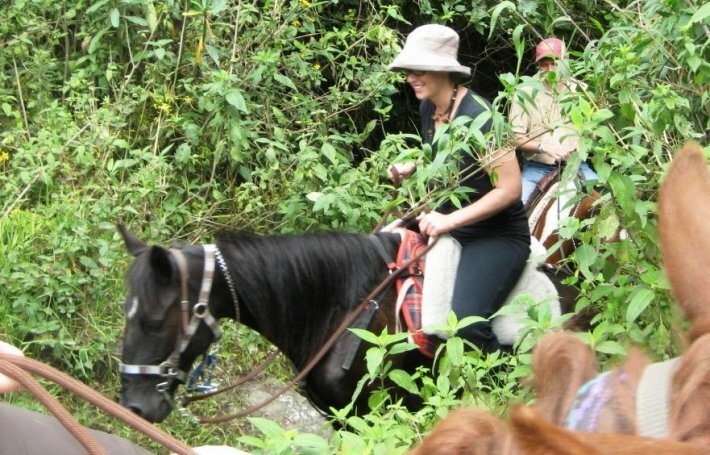 Passeios a Cavalo 