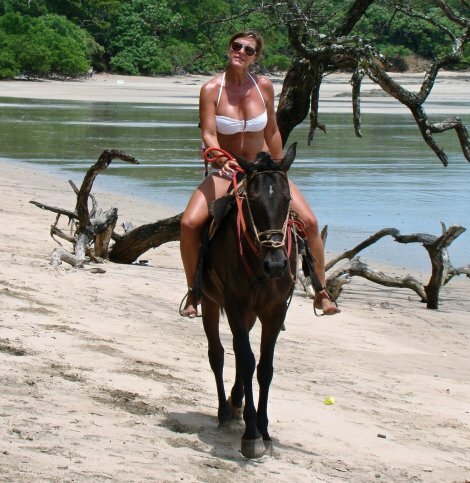 Passeios a Cavalo nas praias de Parati Passeios a Cavalo nas praias de Parati