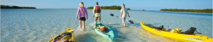 Excursão de Caiaque com Guia Excursão de Caiaque com Guia