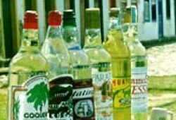 Sugar Cane Fest