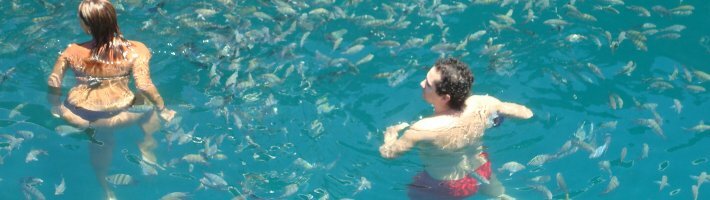 Boat Tour in Paraty: Diving stop Boat Tour in Paraty: Diving stop